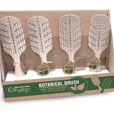 DISPLAY BIO BRUSHES. 12 BRUSHES (6 OF EACH)