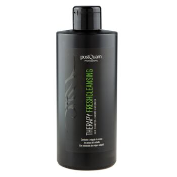 SHAMPOOING GRAISSE NETTOYANTE FRAÎCHE 400 ML