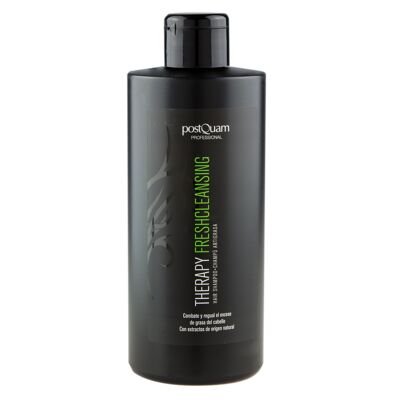 CHAMPU GRASA FRESH CLEANSING 400 ML