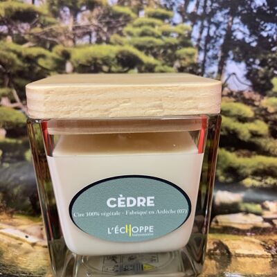 CANDELA PROFUMATA CERA 100% SOIA VEGETALE 8X8 190 G CEDRO