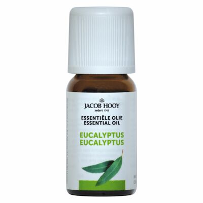 Eucalyptus olie 10ml