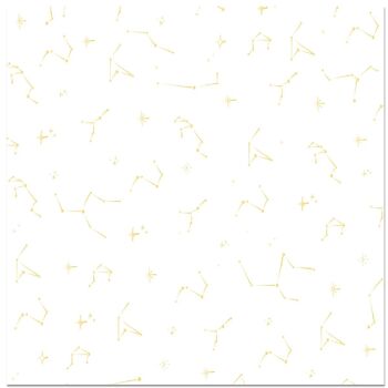 Vélin Foil Constellation 12"x12" Picnic
