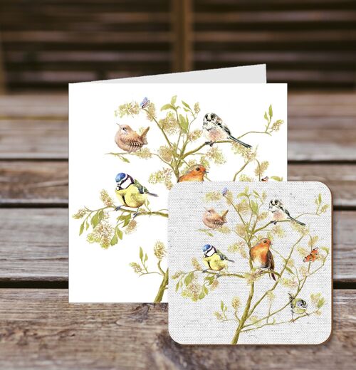 Coaster greetings card, Garden Birds, Wren,Robin,Blue Tit,Finch and Great Tit in a tree 100% Recycled greetings card with quality gloss drinks coaster.