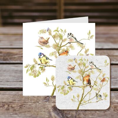 Coaster greetings card, Garden Birds, Wren,Robin,Blue Tit,Finch and Great Tit in a tree 100% Recycled greetings card with quality gloss drinks coaster.