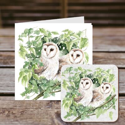Coaster greetings card, Twoo's Company, Pair of Owls, 100% Recycled greetings card with quality gloss drinks coaster.