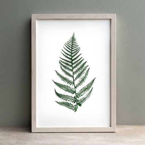 Fern Plant Print Green | Botanical Wall Art A4