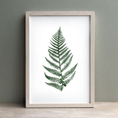 Fern Plant Print Green | Botanical Wall Art A3