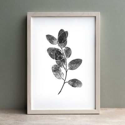 Eucalyptus leaves Print in black | Botanical Wall Art A4