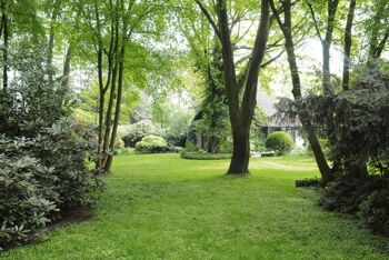 100 jardins de rêve. Les plus beaux jardins privés. Avec des conseils et des idées pour votre propre jardin. nature et jardin 2