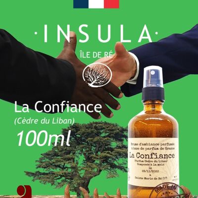 Vegetal mist "The Confidence"