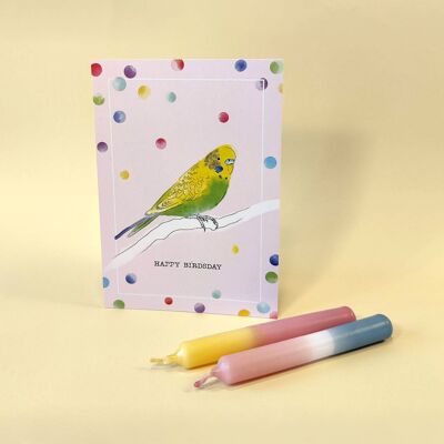 Postkarte A6 Happy Birdsday, gelb-grüner Wellensittich