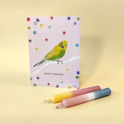 Postkarte A6 Happy Birdsday, gelb-grüner Wellensittich