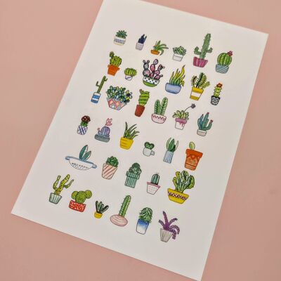Art print A4, succulents