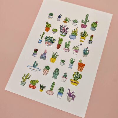 Tirage d'art A4, succulentes