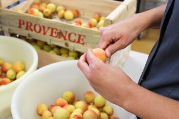 Vrac Abricots Rosé de Provence égouttés 5