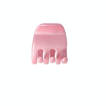 Barrette - French Shell Claw - 5 Couleurs 6