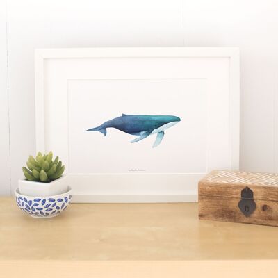 Giclée Print - Starry Whale