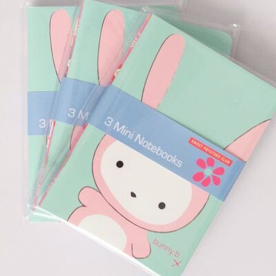 Set of 3 note pads