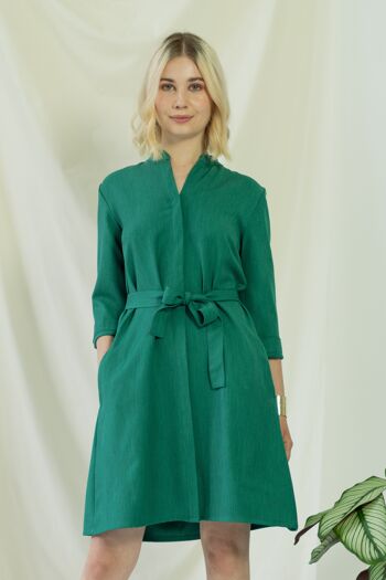 Narine | Robe chemise à manches longues en vert 3