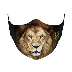 Masque de Lion