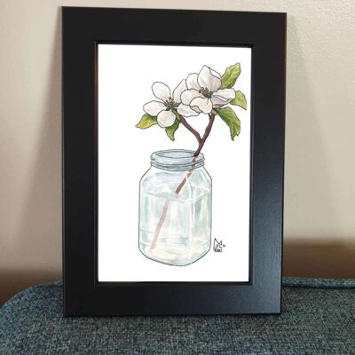 Arkansas Apple Blossom in Moonshine Framed 4x6" print