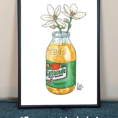 Florida Orange Blossom in Gatorade Art Print - A3 paper size