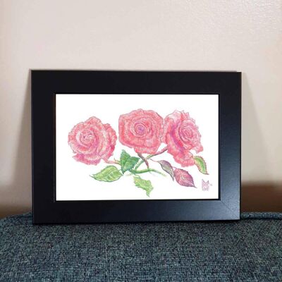 Roses - Framed 4x6" Print