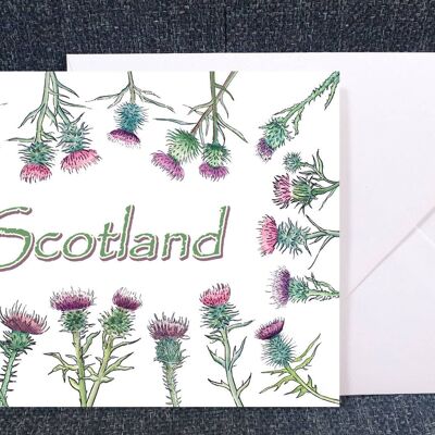Scotland Thistles - Art Greeting card