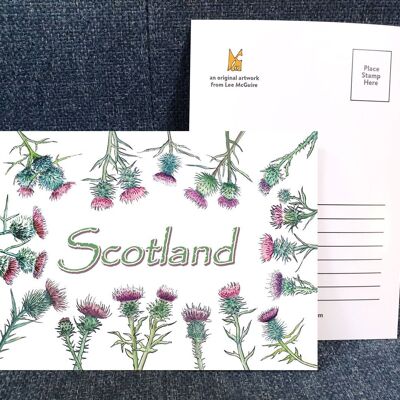 Scotland Thistles - Art Postcard