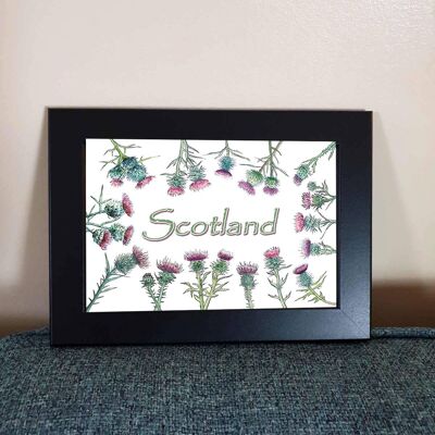 Scotland Thistles - Framed 4x6" Print