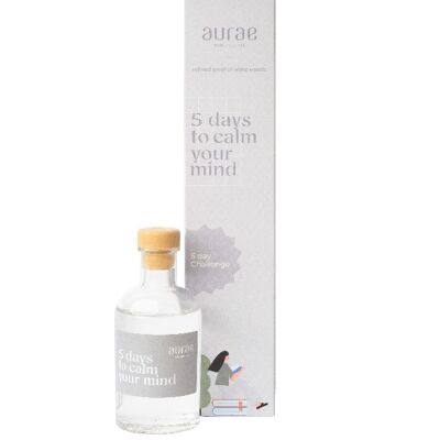 Home fragrance "Calm Your Mind - 5 Day Challenge"  90 ml
