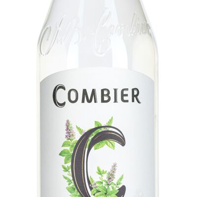 Liquore alla menta bianca 70cL - 25°