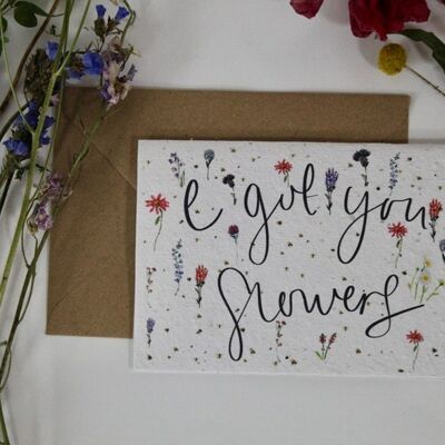 Carte de graines de fleurs sauvages à planter I Got You Flowers