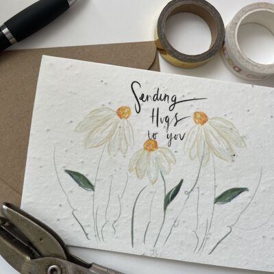 Enviar abrazos a usted tarjeta de semillas de flores silvestres plantable