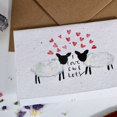 Tarjeta de semillas de flores silvestres plantables de I Love Ewe Lots Valentines