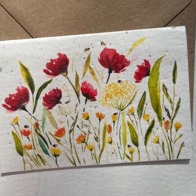 papaveri e fiori di campo gialli Piantabili