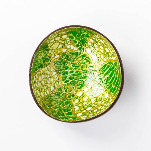 Coconut Shell Green, Gold, Eggshell