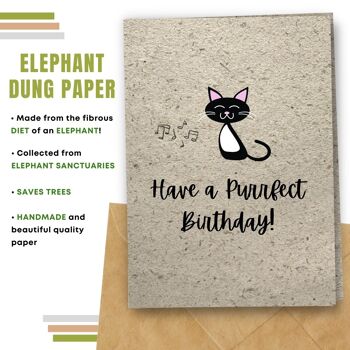 Fait à la main respectueux de l'environnement | Lot de 5 cartes d'anniversaire en papier pour graines à planter ou matériau organique Chat noir 4