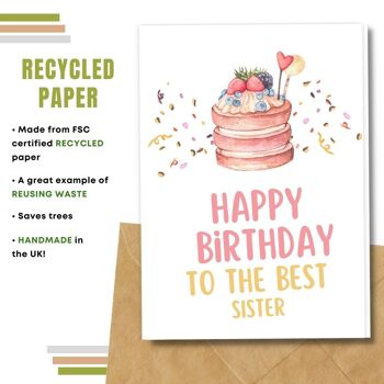 Fait à la main respectueux de l'environnement | Graines plantables ou cartes d'anniversaire en papier de matière organique Carte unique de soeur d'anniversaire 3