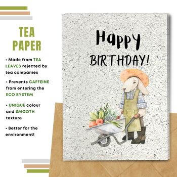 Fait à la main respectueux de l'environnement | Lot de 5 cartes d'anniversaire en papier pour graines à planter ou matériau organique 9