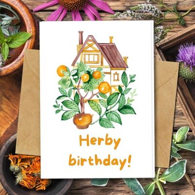 Ecológico hecho a mano | Tarjetas de Cumpleaños de Papel de Semilla Plantable o Material Orgánico Tarjeta Individual de Hierbas y Naranjas
