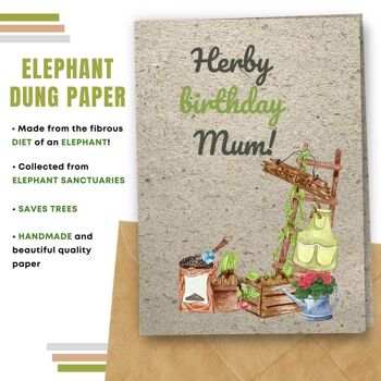 Fait à la main respectueux de l'environnement | Graines plantables ou cartes d'anniversaire en papier de matière organique Herby Birthday Mum Single Card 6