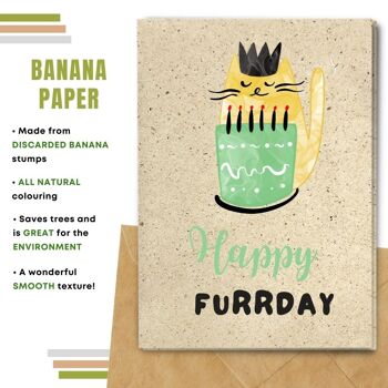 Fait à la main respectueux de l'environnement | Graines plantables ou cartes d'anniversaire en papier de matière organique Happy Furrday Single Card 4