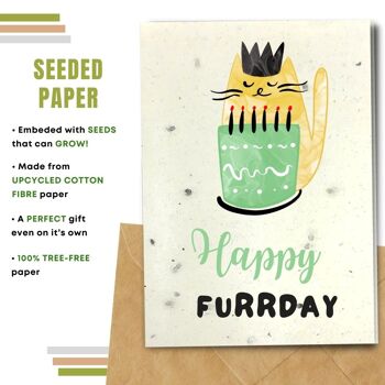 Fait à la main respectueux de l'environnement | Lot de 5 cartes d'anniversaire en papier pour graines à planter ou matériau organique Happy Furrday 2