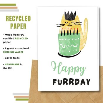 Fait à la main respectueux de l'environnement | Lot de 5 cartes d'anniversaire en papier pour graines à planter ou matériau organique Happy Furrday 4