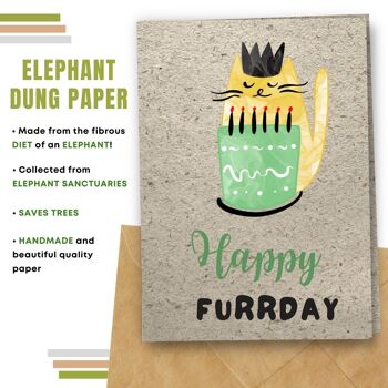 Fait à la main respectueux de l'environnement | Lot de 5 cartes d'anniversaire en papier pour graines à planter ou matériau organique Happy Furrday 8