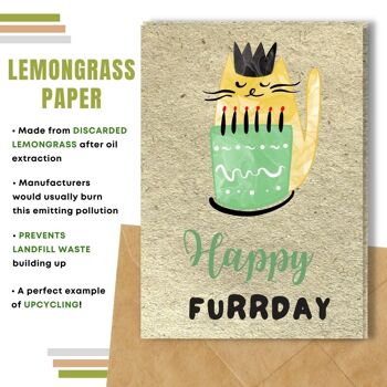 Fait à la main respectueux de l'environnement | Lot de 5 cartes d'anniversaire en papier pour graines à planter ou matériau organique Happy Furrday 11