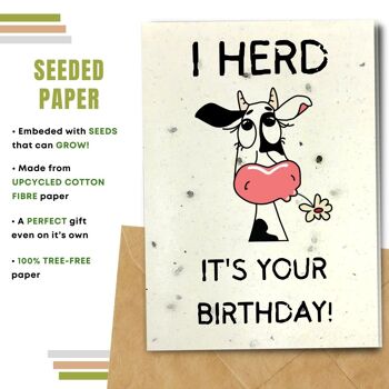 Fait à la main respectueux de l'environnement | Lot de 5 cartes d'anniversaire en papier à planter ou en matériau organique Herd It's Your Birhday 2