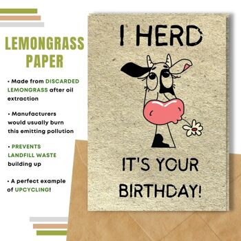 Fait à la main respectueux de l'environnement | Lot de 5 cartes d'anniversaire en papier à planter ou en matériau organique Herd It's Your Birhday 5