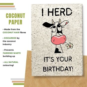 Fait à la main respectueux de l'environnement | Lot de 5 cartes d'anniversaire en papier à planter ou en matériau organique Herd It's Your Birhday 6